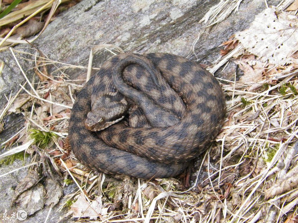 吉林，北国风光中的东北明珠璀璨闪耀