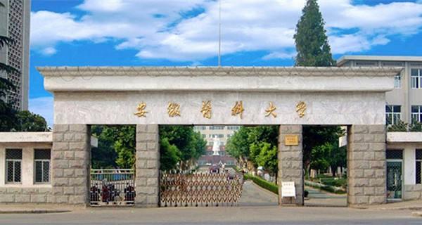 安徽小巷深处的独特风情