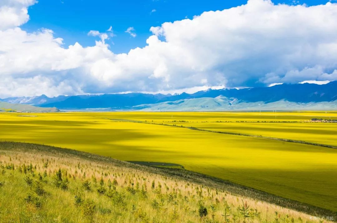 青海,大自然的调色板,绚烂多彩的画卷🌄🍃🌿