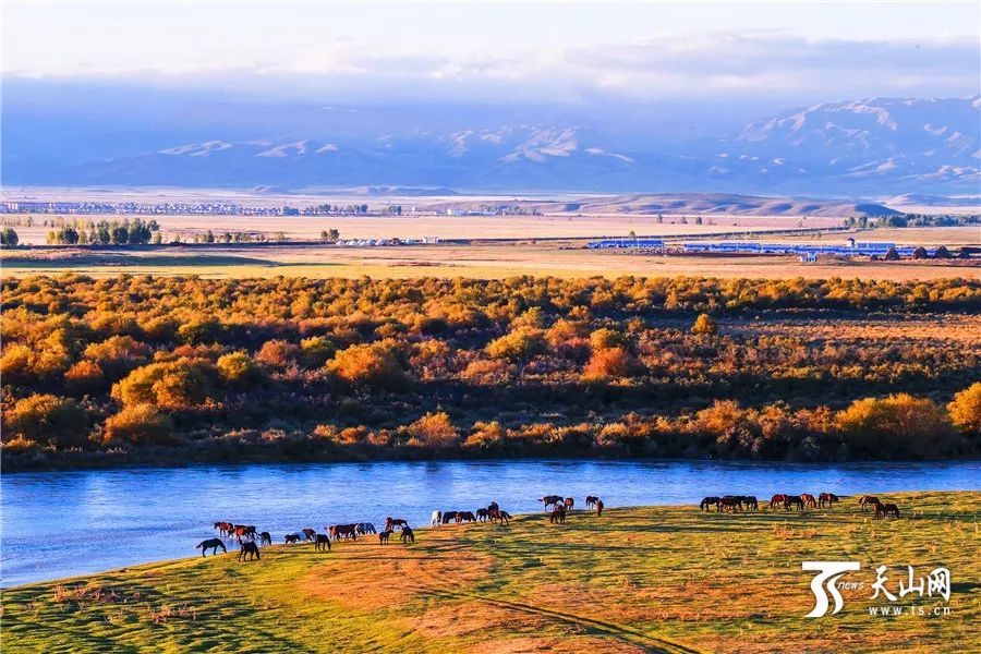 浪漫新疆,与自然的邂逅之旅